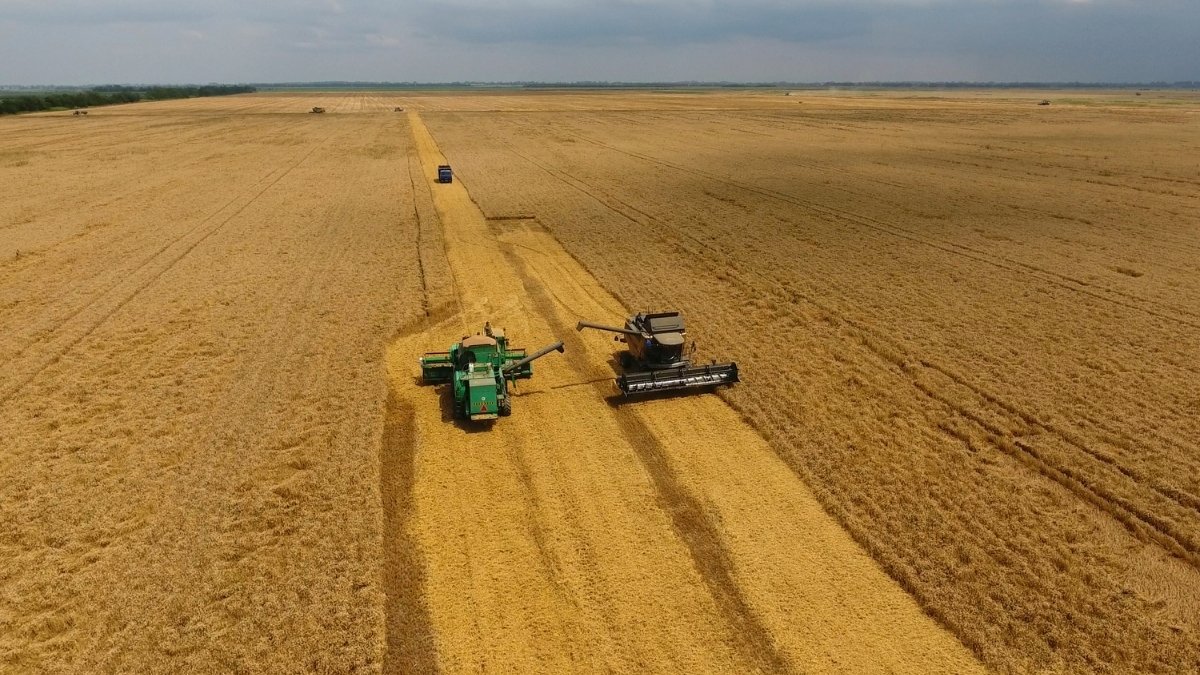 Elevatorsan - Biz Kimiz